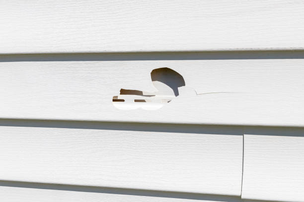 Best Hoarding Cleanup  in East Foothills, CA